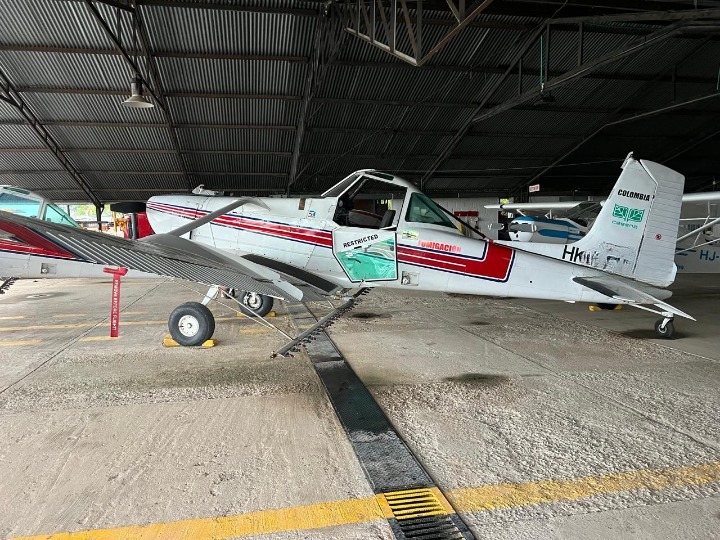 bc1a3f5a-091f-4f69-acd8-b323f4c7275c – copia